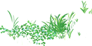 4ce78fb290bc2a9ed92ff9ef8ddac2af.png