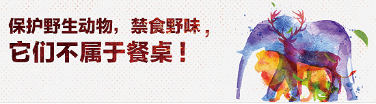 b721c640cfc94d159b2c3a0a870da6ba.png