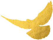 dd17e6e6bb3dad4d469e248afb556ab4_sz-26849.png